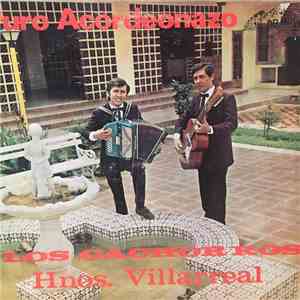 Los Cachorros Hnos. Villarreal - Puro Acordeonazo mp3 album