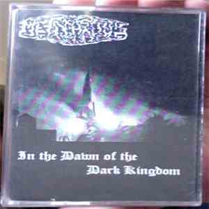 Meinardus - In The Dawn Of Dark Kingdom mp3 album
