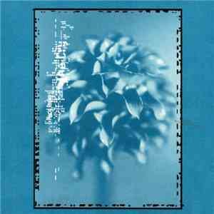 Placid Angles - The Cry mp3 album