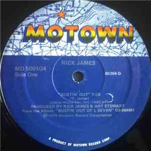 Rick James - Bustin' Out mp3 album