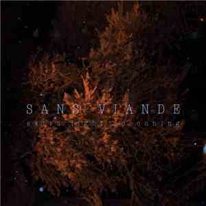 Sans Viande - Extra Light Cocooning mp3 album