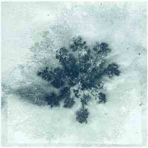 Simeon Walker - Mono mp3 album