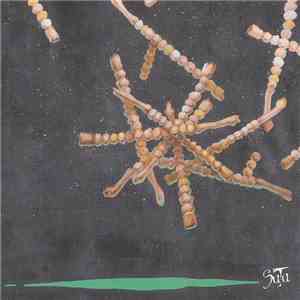 Sutu - Sutu mp3 album