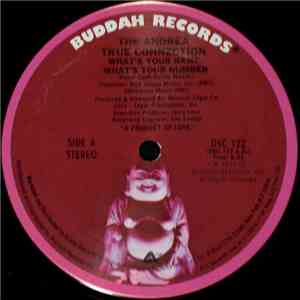 The Andrea True Connection - What's Your Name, What's Your Number / Fill Me Up (Heart To Heart) mp3 album