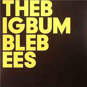 The Big Bumble Bees - The Big Bumble Bees mp3 album