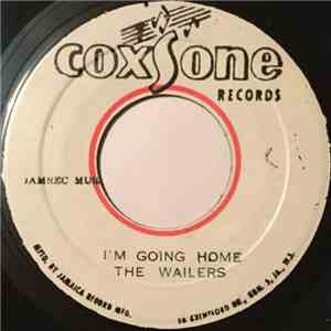 The Wailers - I'm Going Home / It Hurts To Be Alone mp3 album