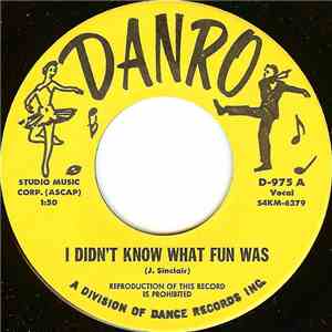 Unknown Artist - I Didn't Know What Fun Was mp3 album