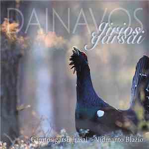 Vidmantas Blažys - Dainavos Girios Garsai mp3 album