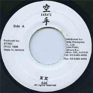 446 - XX mp3 album