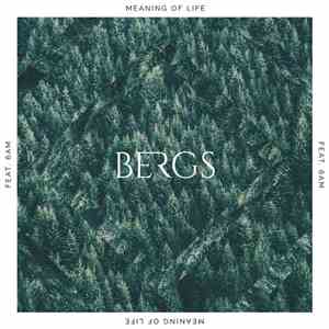 Bergs  Feat 6AM  - Meaning Of Life mp3 album