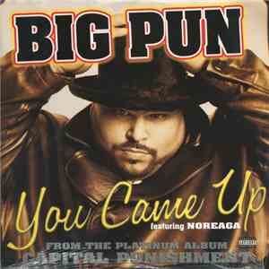 Big Punisher - You Came Up mp3 album