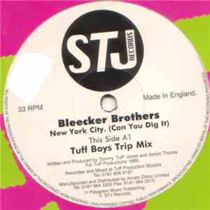 Bleecker Brothers - New York City (Can You Dig It) mp3 album