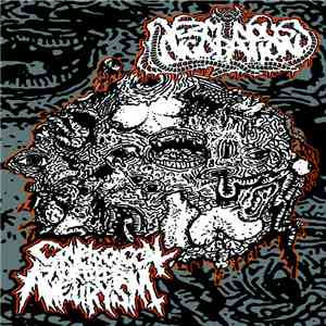 Cryptococcal Aortitis Aneurysm / Verminous Incubation - Split Tape mp3 album