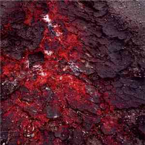 Daniel Menche - Terre Paroxysm mp3 album