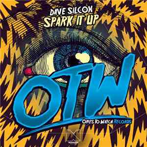 Dave Silcox - Spark It Up mp3 album