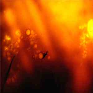 Delta M45 - Space Probe mp3 album