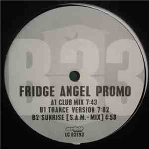 Fridge - Angel mp3 album
