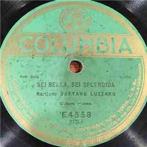 Gaetano Luzzaro - Sei Bella, Sei Splendida / Capinera mp3 album
