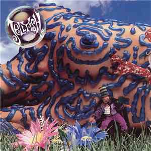 Jellyfish  - Bellybutton mp3 album