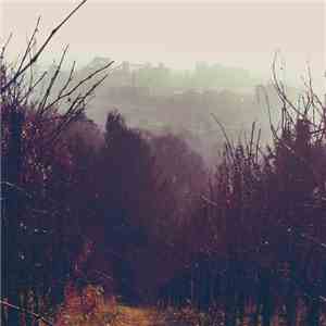 Luis Miehlich - Their Atoms Keep Coming Back Together mp3 album