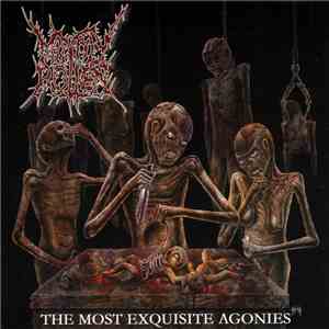 Mindly Rotten - The Most Exquisite Agonies mp3 album