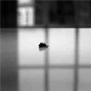 PAAR - Pure / She Brings The Rain mp3 album