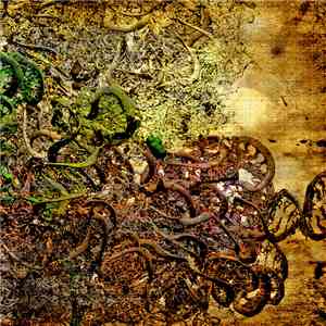 Poltergeist  - Ordinary Differential Equation (or) Sticky Isotypic mp3 album