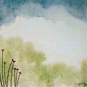 Rocco Notte & Richard Bush  - Elysian Fields mp3 album