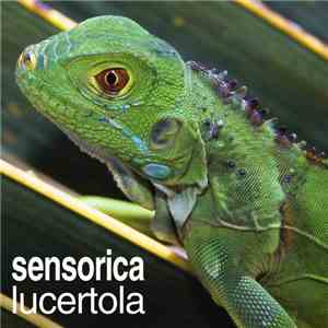 Sensorica - Lucertola mp3 album