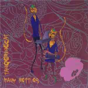 tAngerinecAt - Many Kettles mp3 album