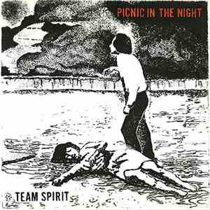 Team Spirit  - Picnic In The Night mp3 album