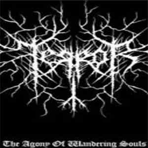 Terror  - The Agony Of Wandering Souls mp3 album