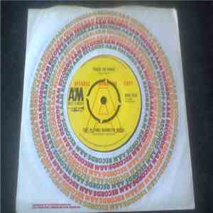 The Flying Burrito Bros - Tried So Hard / Lazy Day mp3 album
