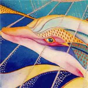 Unknown Artist - Celebration Of The Hawaiian Spinner Dolphin mp3 album