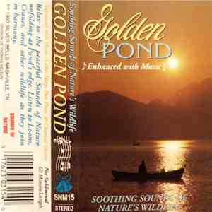 Unknown Artist - Golden Pond mp3 album