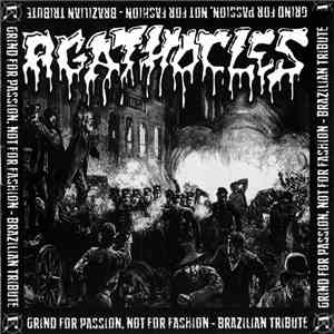 Various - Grind For Passion, Not For Fashion - Brazilian Tribute To Agathocles mp3 album