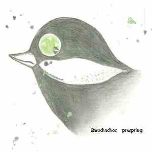 2muchachos - Prespring mp3 album