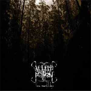 A Cloud Forest - These Mournful Days mp3 album
