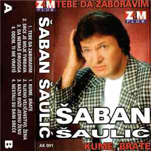 Šaban Šaulić - Tebe Da Zaboravim mp3 album