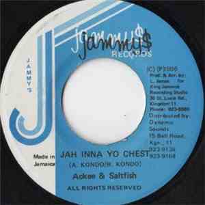 Ackee & Saltfish - Jah Inna Yo Chest mp3 album