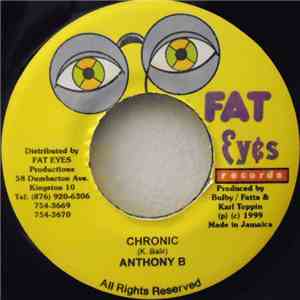 Anthony B / Bullet Proof  - Chronic / Tender Touch mp3 album