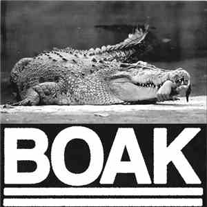 BOAK - II mp3 album