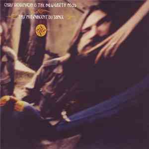 Chris Robinson & The New Earth Mud - This Magnificent Distance mp3 album
