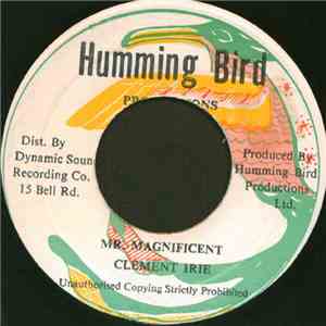 Clement Irie - Mr. Magnificent mp3 album