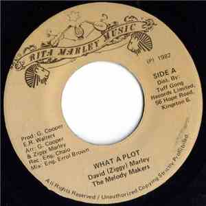 David 'Ziggy' Marley / The Melody Makers - What A Plot mp3 album