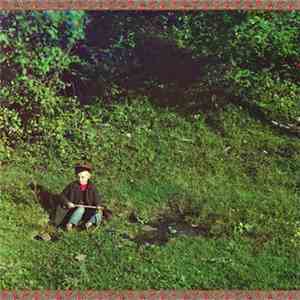 Foresteppe - No Time To Hurry mp3 album