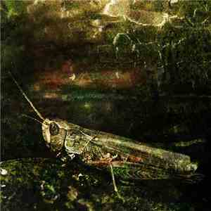 Jeph Jerman & Five Elements Music - Insecta mp3 album