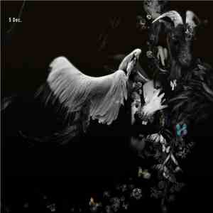 Kashiwa Daisuke - 5 Dec. mp3 album