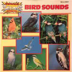 No Artist - Bird Sounds mp3 album