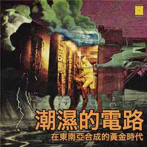 Oscar Young Band - Damp Circuits: The Golden Era Of Synthesizers In East Asia - Volume 1 mp3 album